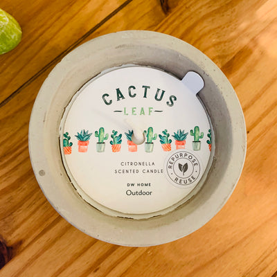 Cactus Leaf Citronella - Outdoor