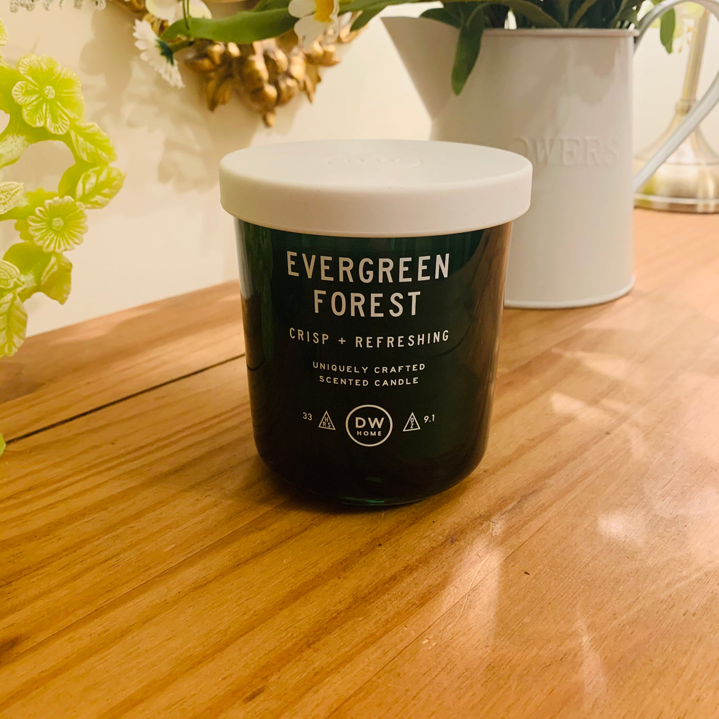 Evergreen Forest