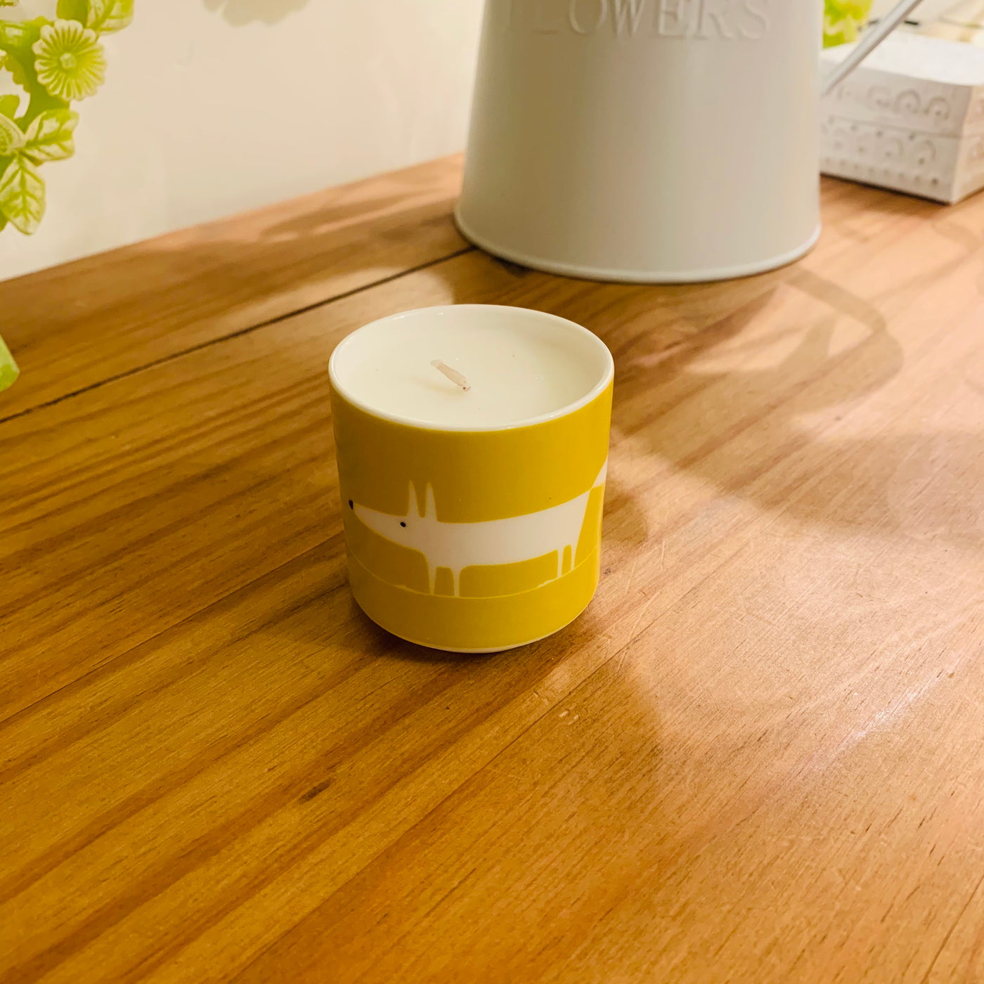 Mr Fox Candle Gift Set