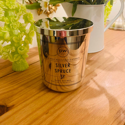 Silver Spruce