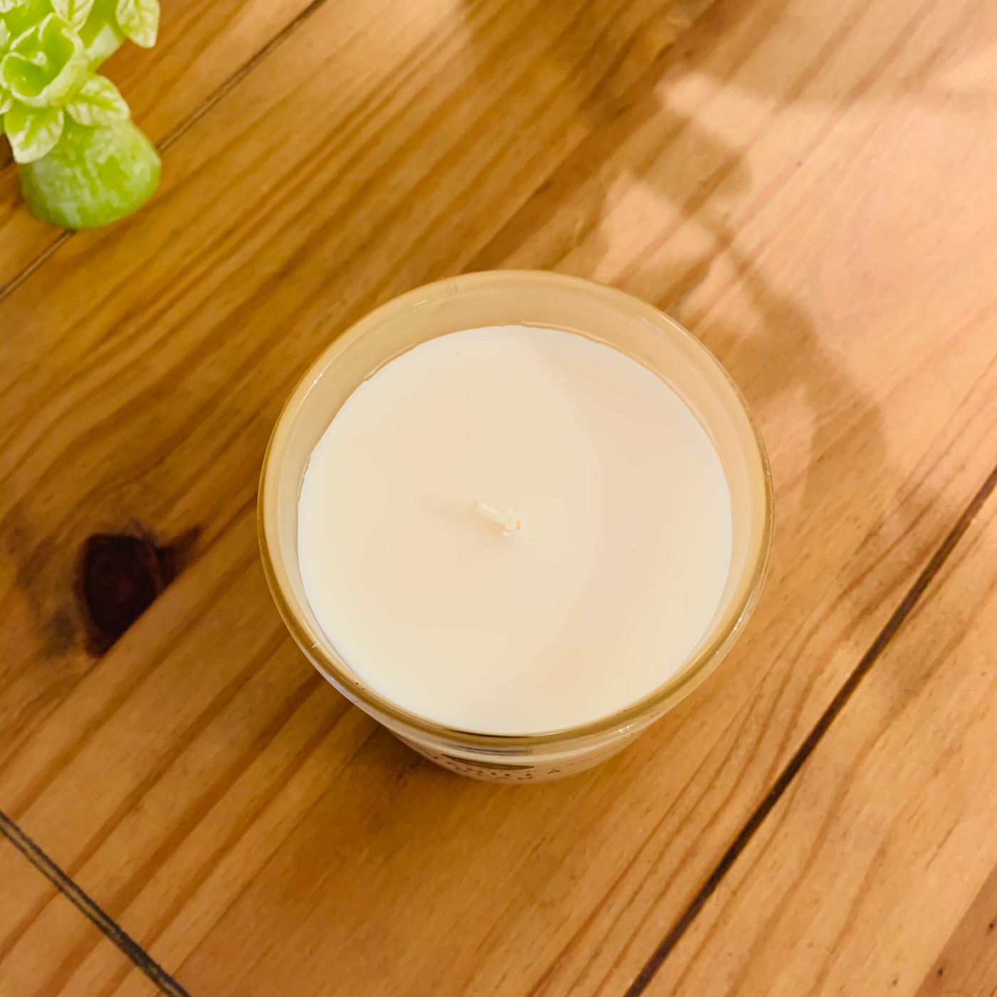 Vanilla Bean