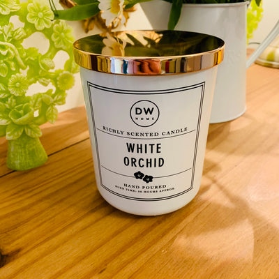 White Orchid
