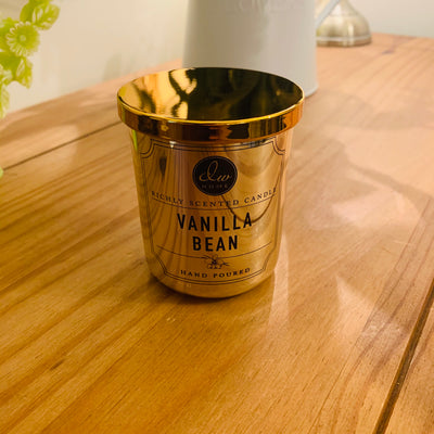 Vanilla Bean - Clearance