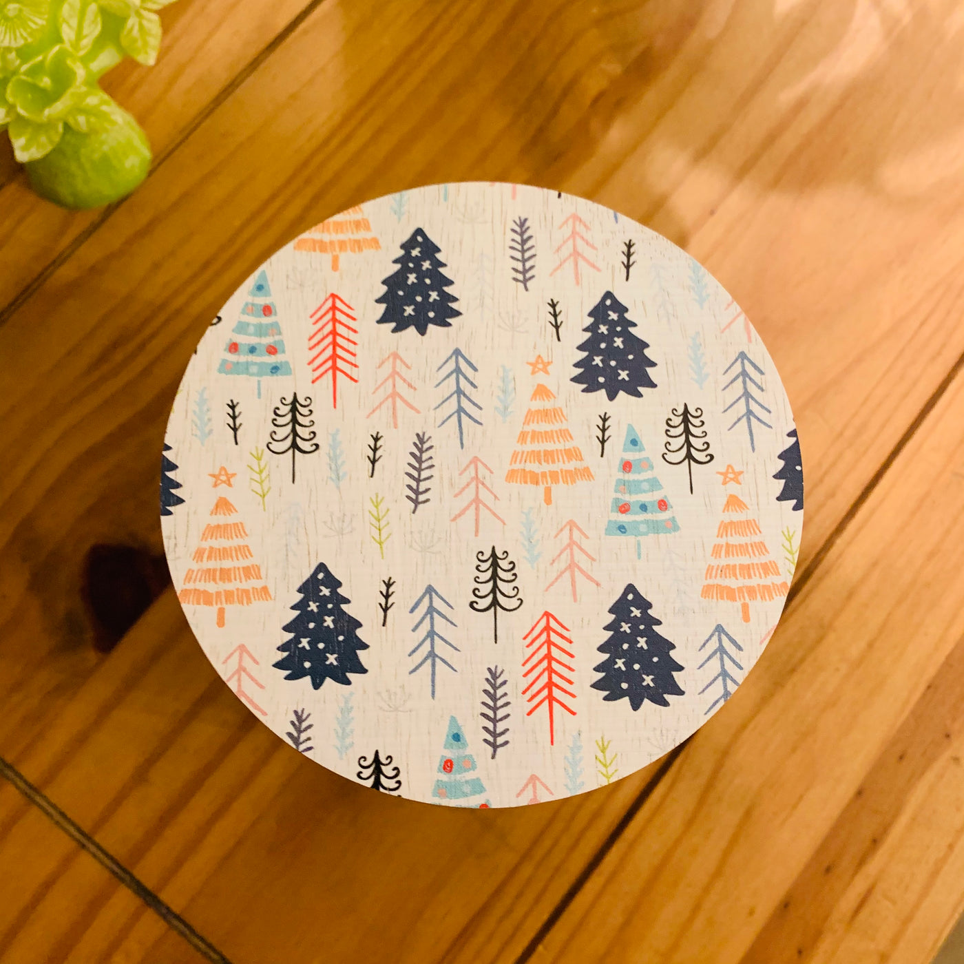 Winter Pine
