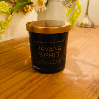 Havana Nights