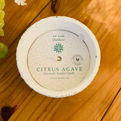 Citrus Agave Citronella - Outdoor